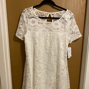 Robbie Bee White Lace Trapeze Dress